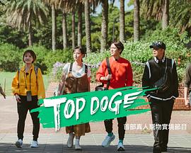 911爆料八卦网《TOP DOG》免费在线观看