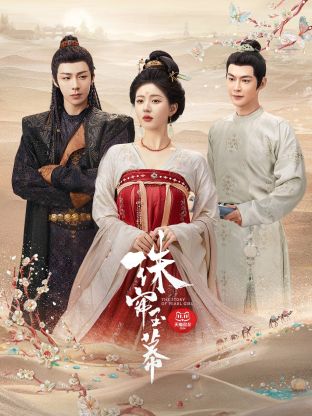 911爆料《珠帘玉幕》免费在线观看