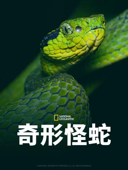 911爆料工厂《奇形怪蛇》免费在线观看